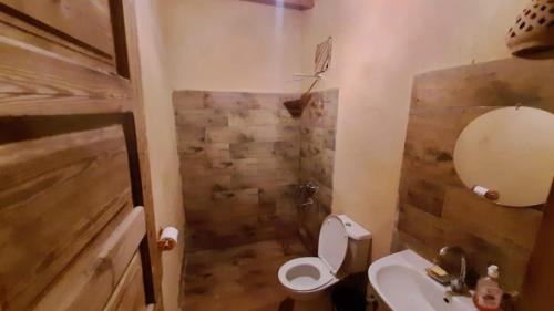 法尤姆Tunis Camp Fayoum的浴室配有卫生间、盥洗盆和淋浴。