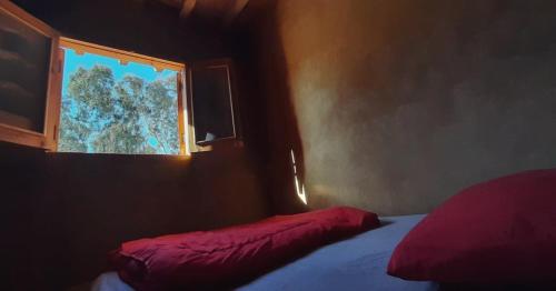 法尤姆Tunis Camp Fayoum的一间卧室配有一张带红色枕头的床和一扇窗户