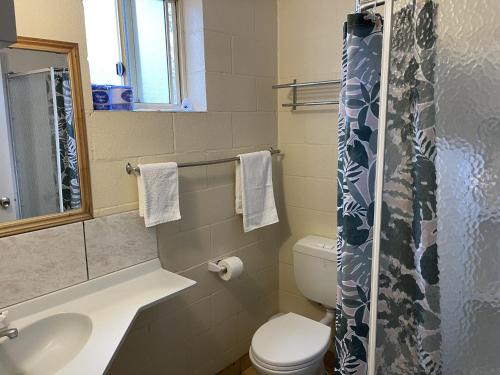 史丹霍普Murray Gardens Motel的浴室配有卫生间、盥洗盆和淋浴。
