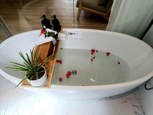 琅勃拉邦LuangPrabang Pearl Hotel的白色浴缸,里面装有植物和两只鸟