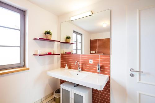 RadeburgLandgut Mosch的一间带水槽和镜子的浴室