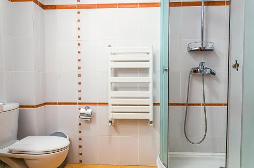 普雷代亚尔Holiday Vila Predeal的带淋浴和卫生间的浴室