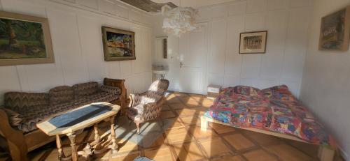 格拉鲁斯Grosse Ferienwohnung im Herzen von Glarus的客厅配有床和沙发