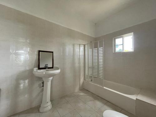 LyssonsThe Retreat的白色的浴室设有水槽和浴缸。