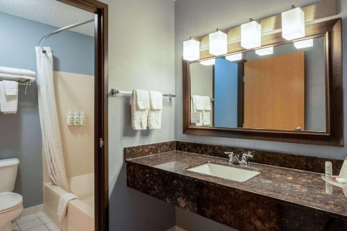 欧克莱尔欧克莱尔温德姆阿美瑞辛酒店的一间带水槽、镜子和卫生间的浴室