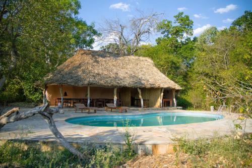 KwangwaziSelous River Camp的小屋设有游泳池和茅草屋顶