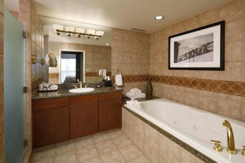 苏福尔斯苏克斯瀑布喜来登酒店&会展中心的带浴缸和盥洗盆的浴室