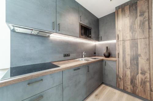 圣坎迪朵Dolomite Apartments Winklwiese 6&7的厨房配有灰色橱柜、水槽和柜台。