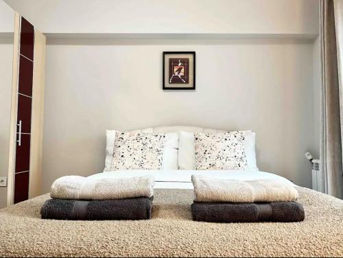旧扎戈拉Amazing 2 bedrooms Modern Apartment in Stara Zagora的一间卧室配有带枕头的床