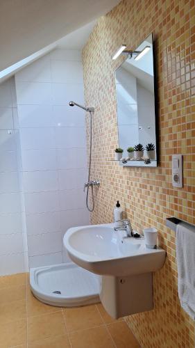 巴雷罗斯Atico en Barreiros 2 habitaciones的一间带水槽、淋浴和镜子的浴室