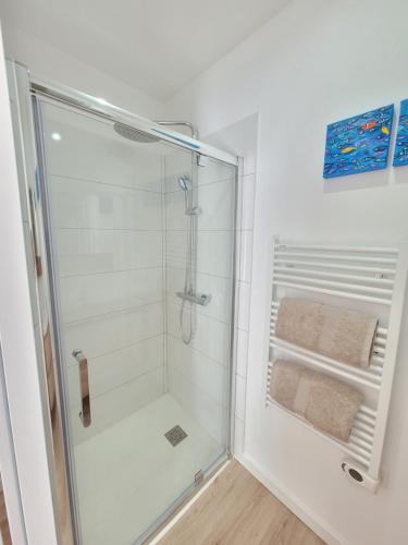 阿尔蒂盖普雷博尔多Paisible, spacieux avec petit jardin的带淋浴的浴室(带玻璃淋浴间)