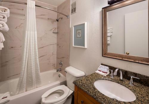 罗缪勒斯Magnuson Hotel Detroit Metro Airport的一间带水槽、卫生间和淋浴的浴室