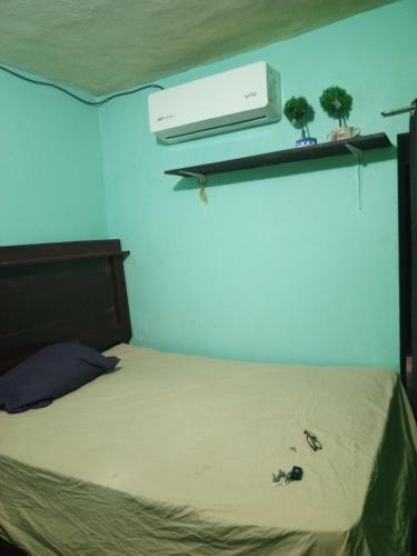 蒙特雷Recamara confortable en San Nicolás的一间卧室,配有一张架子上两株植物的床
