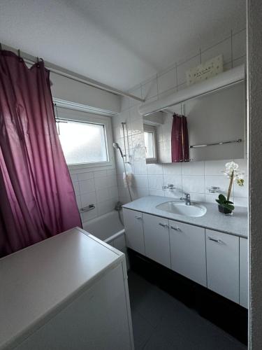 温特图尔Gemütliche möbilierte Wohnung in Winterthur的一间带水槽和紫色淋浴帘的浴室