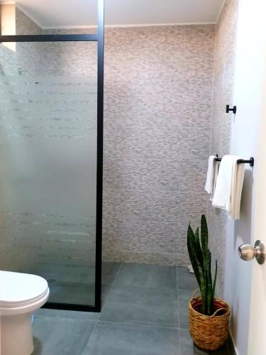 伊察HOTEL SOL DE OCUCAJE的带淋浴、卫生间和植物的浴室