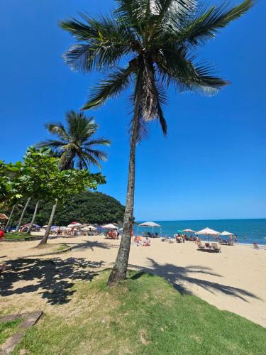 鲍巴Pousada Vila Ipuan的海滩上的棕榈树与大海