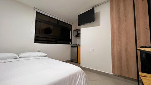 麦德林Casa hotel Los Laureles的一间卧室配有一张床和一台平面电视