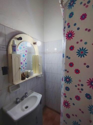Las HerasBACANO hostel的浴室设有水槽和鲜花淋浴帘