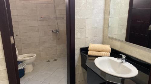 阿布扎比Your apartment near Airport的一间带水槽和卫生间的浴室
