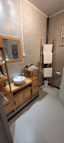 奥雷龙圣乔治Résidence Fleur des Pins - Gites & Chambres d'Hôtes的浴室配有盥洗盆、镜子和毛巾