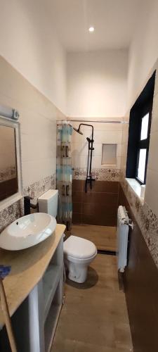 安纳巴F2 duplex plages et promenades的浴室配有卫生间、盥洗盆和淋浴。