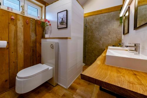 斯塔沃洛Le Petit Moussis的浴室配有白色卫生间和盥洗盆。