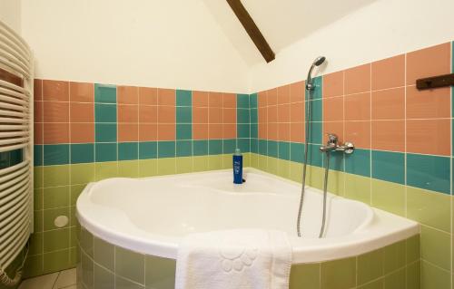 捷克克鲁姆洛夫玛勒胡维卡酒店的带浴缸、水槽和淋浴的浴室
