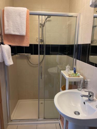 Glencorrib科里布景旅馆的带淋浴和盥洗盆的浴室