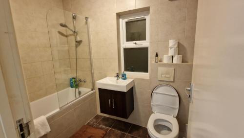 伦敦Compact living cosy studio flat in london的浴室配有卫生间、盥洗盆和淋浴。