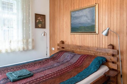 拉多夫吉卡Vila Jasna的一间卧室配有一张带灯具和绘画的床