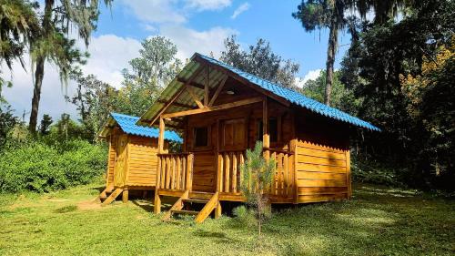 孔斯坦萨Pinar del Valle - Glamping en el Bosque - Propiedad Completa en Constanza的蓝色屋顶的小木房子