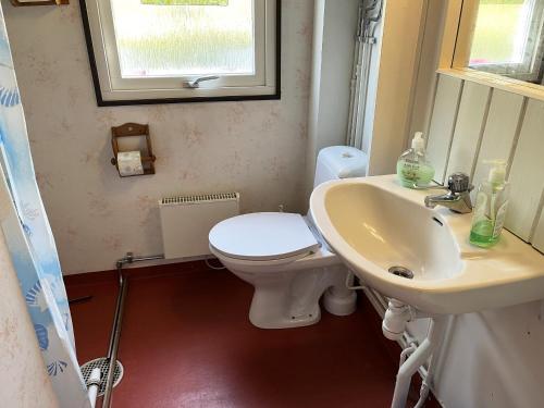 门斯特罗斯Cozy cottage on Okno near nature的一间带卫生间和水槽的浴室