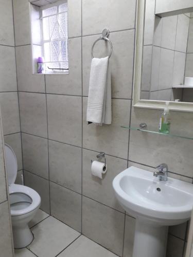 勒斯滕堡Protea Park Self Catering Guesthouse的一间带水槽、卫生间和镜子的浴室