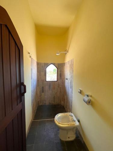 卡诺格布拉达Pousada Akronos的一间带卫生间和窗户的浴室