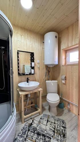 SatyEldos_Kolsai的一间带卫生间和水槽的浴室