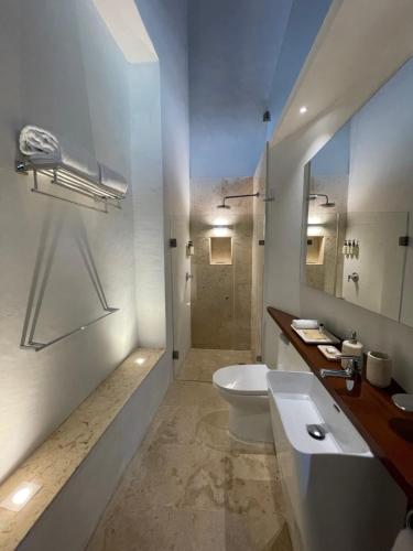 坎佩切Las Lupitas Hotel Boutique的一间带水槽、卫生间和镜子的浴室