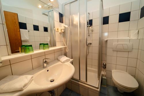 拉登泰因美茨戈维尔特酒店的一间带水槽、淋浴和卫生间的浴室