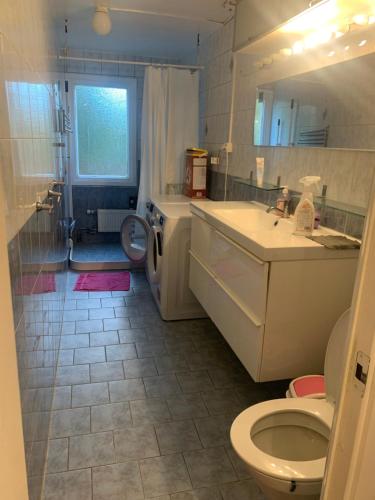 哥德堡Vivian house的浴室配有卫生间、盥洗盆和淋浴。