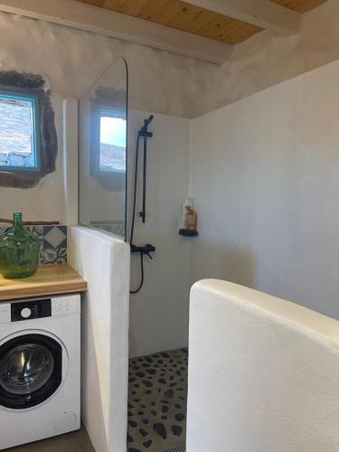 TabayescoFinca Petite Vineyard的一间带洗衣机和窗户的浴室