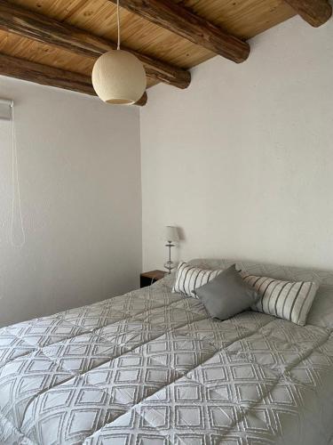 La ConsultaLos Andes de Uco的一间卧室设有一张带木制天花板的大床