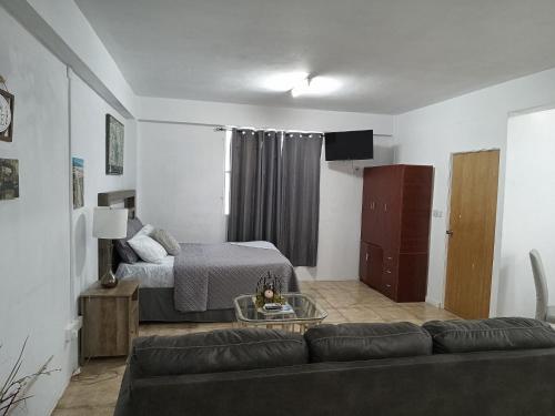 罗索Roseau City Hub Apartment的客厅配有沙发和1张床