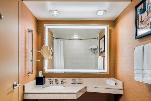 多伦多多伦多机场喜来登会议中心酒店的一间带水槽和镜子的浴室