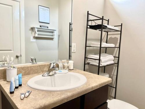 麦卡伦NEW! Luxury Apt, 5 min from Mall, Airport, & Dine!的一间带水槽、卫生间和镜子的浴室