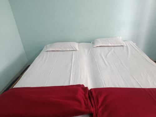 亨比Best Home stay Hampi Anegundi的客房内的一张白色和红色的床