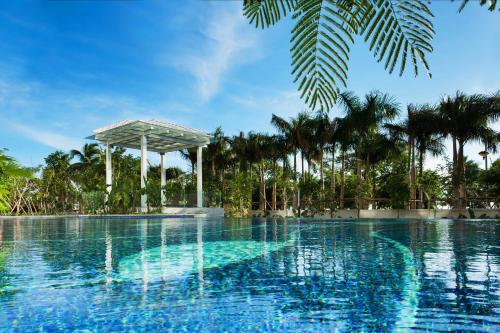 三亚三亚福朋喜来登酒店(市区海景酒店，本地美食)的一座棕榈树环绕的游泳池