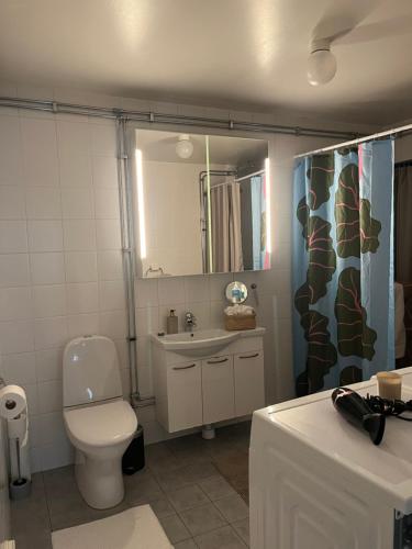 赫尔辛堡Storahuset Helsingborg的一间带卫生间、水槽和镜子的浴室