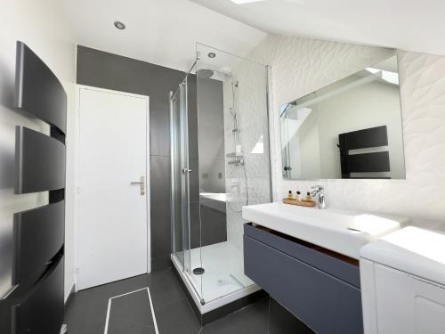 阿蒂斯蒙斯Appartement à 10 min d’Orly的带淋浴、盥洗盆和镜子的浴室