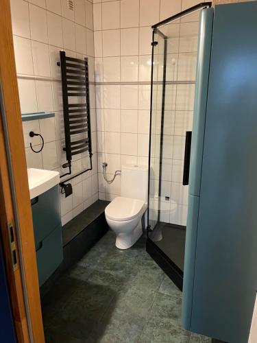 卢巴夫卡Zajazd Magrani的一间带卫生间和玻璃淋浴间的浴室