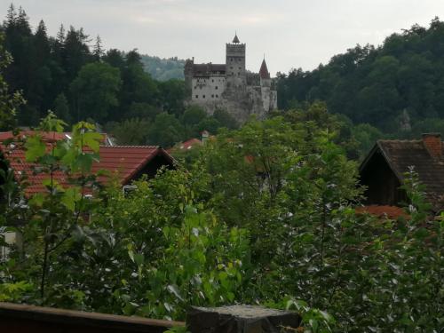 布朗Pensiunea Transilvania Lodge的一座城堡,山中种有树木和建筑