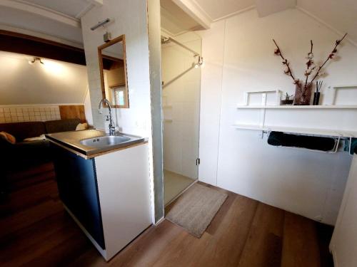 RyptsjerkBed en stal 'Het Woudhuisje'的一间小厨房,内设一个水槽